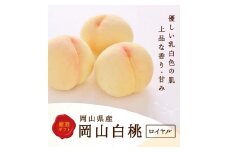 2025年 先行予約 岡山県産　白桃 8玉（2kg以上） 等級：ロイヤル 化粧箱入り