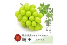 2025年 先行予約 岡山県産　シャインマスカット『晴王』3～5房 (約2kg） | フルーツ 果物 くだもの ぶどう ブドウ シャインマスカット 晴王 国産 岡山県産 食品 人気 おすすめ 送料無料 ギフト 贈り物 贈答品 プレゼント 果物 くだもの フルーツ ぶどう ブドウ シャインマスカット 晴王