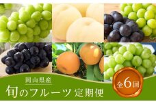 【全6回コース】2025年 先行予約 岡山県産　旬のフルーツ定期便