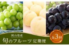 【全3回コース】2025年 先行予約 岡山県産　旬のフルーツ定期便