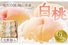 桃  2025年先行予約 岡山県産 白桃6玉(1.6kg以上) 化粧箱入り