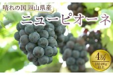 ぶどう 2025年先行予約 岡山県産 ニューピオーネ4房(1房480g以上)
