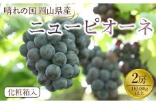 ぶどう 2025年先行予約 岡山県産 ニューピオーネ2房(1房480g以上) 化粧箱入り