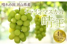 ぶどう 2025年先行予約 岡山県産 シャインマスカット『晴王』4房(1房480g以上) | フルーツ 果物 くだもの ぶどう ブドウ シャインマスカット 晴王 国産 岡山県産 食品 人気 おすすめ 送料無料 ギフト 贈り物 贈答品 プレゼント 果物 くだもの フルーツ ぶどう ブドウ シャインマスカット 晴王