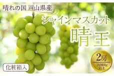 ぶどう 2025年先行予約 岡山県産 シャインマスカット『晴王』2房 (1房600g以上) 化粧箱入り | フルーツ 果物 くだもの ぶどう ブドウ シャインマスカット 晴王 国産 岡山県産 食品 人気 おすすめ 送料無料 ギフト 贈り物 贈答品 プレゼント 果物 くだもの フルーツ ぶどう ブドウ シャインマスカット 晴王