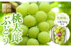 ぶどう 2025年先行予約 岡山県産 桃太郎ぶどう1房(700g以上) 化粧箱入り｜フルーツ 果物 くだもの 食品 人気 おすすめ 送料無料 ぶどう 2025年 先行予約 桃太郎 ぶどう 1房 700g以上 ブドウ 葡萄 岡山県産 国産 フルーツ 果物 ギフト 果物類 贈り物 贈答品 プレゼント ぶどう