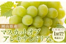 ぶどう 2025年先行予約 岡山県産 マスカットオブアレキサンドリア1房(600g以上・秀品以上) 化粧箱入り