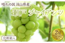 ぶどう 2025年先行予約 岡山県産 瀬戸ジャイアンツ2房(1房480g以上) 化粧箱入り