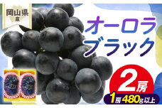 ぶどう 2025年先行予約 岡山県産 オーロラブラック2房(1房480g以上)　化粧箱入り