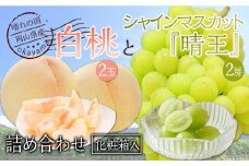 桃 ぶどう 2025年先行予約 岡山県産 詰合/白桃2玉(1玉220g以上)・シャインマスカット『晴王』2房(1房480g以上) 化粧箱入り | フルーツ 果物 くだもの モモ もも 桃 ぶどう 葡萄 ブドウ シャインマスカット マスカット 白桃 晴王 詰合せ 詰め合わせ セット 果物セット 岡山 岡山県産 国産 モモ もも 桃 ぶどう 葡萄 ブドウ 晴王 白桃 マスカット シャインマスカット