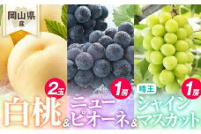 桃 ぶどう 2025年先行予約 岡山県産 詰合/白桃2玉(1玉220g以上)・ニューピオーネ1房(480g以上)・シャインマスカット『晴王』1房(480g以上) 化粧箱入り | フルーツ 果物 くだもの モモ もも 桃 白桃 ぶどう 葡萄 ブドウ ニューピオーネ シャインマスカット マスカット 晴王