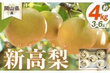 梨 2025年先行予約 岡山県産 新高梨 3-6玉(約4ｋｇ） 化粧箱入り