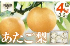 梨 2025年先行予約 岡山県産 あたご梨 3-6玉(約4ｋｇ） 化粧箱入り