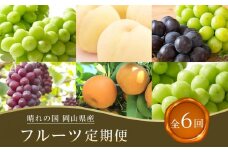 フルーツ 2025年先行予約【全6回コース】晴れの国岡山 フルーツ定期便
