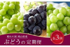 ぶどう 2025年先行予約【全3回コース】晴れの国岡山 ぶどうの定期便