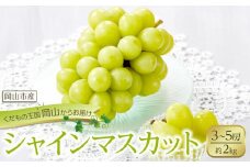 ぶどう 2026年 シャイン マスカット 3～5房 合計約2kg  種無し ブドウ 葡萄 岡山市産 国産 フルーツ 果物 渡邊農園