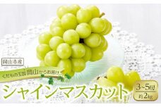 ぶどう 2026年 シャイン マスカット 3～5房 合計約2kg  種無し ブドウ 葡萄 岡山市産 国産 フルーツ 果物 渡邊農園