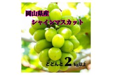 【大粒】ご家庭用　岡山県産シャインマスカット【甘い】たっぷり4房2kg以上 | フルーツ 果物 くだもの 葡萄 ブドウ ぶどう シャインマスカット マスカット 大粒 家庭用 岡山 岡山県産 国産 フルーツ 果物 くだもの シャインマスカット マスカット
