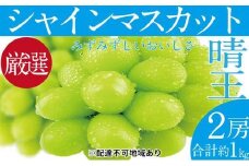 ぶどう 2025年 先行予約 シャイン マスカット 晴王 2房（合計約1kg） ブドウ 葡萄  岡山県産 国産 フルーツ 果物 ギフト