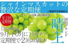 ぶどう 2025年 先行予約 9月・10月発送 シャイン マスカット 晴王 1房 約600g×2回 ブドウ 葡萄  岡山県産 国産 フルーツ 果物 ギフト