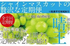 ぶどう 2025年 先行予約 9月・10月発送 シャイン マスカット 晴王 2房（合計約1kg）×2回 ブドウ 葡萄  岡山県産 国産 フルーツ 果物 ギフト