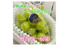 【特選!】贈答用 岡山県産シャインマスカット【大粒】一房入り（約750ｇ） | フルーツ 果物 くだもの 葡萄 ブドウ ぶどう シャインマスカット マスカット ギフト 贈答用 プレゼント 岡山 岡山県産 国産 フルーツ 果物 くだもの シャインマスカット マスカット