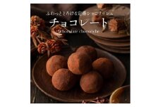 訳あり ショコリッシュ 550g チョコレート 約22～24個入り  冷凍 ギフト スイーツ チョコ 生チョコ 大量 大容量 おしゃれ 個包装 チョコレート トリュフ ふくちゃ