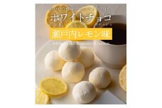 訳あり ショコリッシュ 480g 瀬戸内レモン 約19～21個入り  冷凍 ギフト スイーツ チョコ 生チョコ 大量 大容量 おしゃれ 個包装 チョコレート トリュフ ふくちゃ