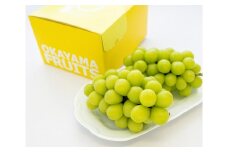 ぶどう 2025年 先行予約 ご家庭用 岡山県産 シャインマスカット 1.2kg（2～3房）（クール便） | フルーツ 果物 くだもの シャインマスカット マスカット 岡山県産 国産 ご家庭用 シャインマスカット マスカット フルーツ 果物 くだもの シャインマスカット マスカット