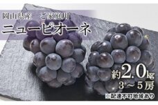 ぶどう 2025年 先行予約 ご家庭用 ニューピオーネ 約2.0kg（3～5房）（クール便）