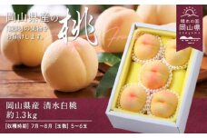 桃 2025年 先行予約 岡山県産 清水白桃 約1.3kg 5～6玉（クール便）