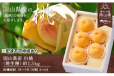 桃 2025年 先行予約 岡山県産 白桃（晩生種） 約1.3kg 5～6玉（クール便）