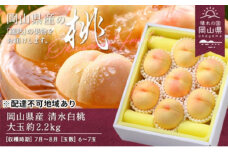 桃 2025年 先行予約 岡山県産 清水白桃 大玉  約2.2kg 6～7玉（クール便）