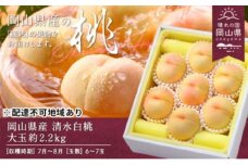 桃 2026年 岡山県産 清水白桃 大玉  約2.2kg 6～7玉（クール便）【清水白桃 白桃 桃 もも 果物 フルーツ 新鮮 岡山県産 おすすめ 人気 ギフト 岡山県 岡山市】