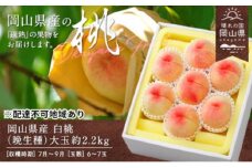 桃 2025年 先行予約 岡山県産 白桃（晩生種） 大玉 約2.2kg 6～7玉（クール便）