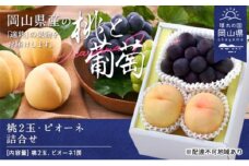 桃 ぶどう 2025年 先行予約 桃2玉・ピオーネ1房 詰合せ（クール便）｜フルーツ 果物 くだもの もも ぶどう モモ ブドウ 桃 葡萄 ピュオーネ 2玉 1房 人気 おすすめ 先行予約  送料無料 ギフト 贈り物 贈答品 プレゼント もも ぶどう ピオーネ