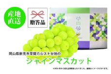 ぶどう 2025年 先行予約 カルスト台地で育ったシャインマスカット（１房）【ギフト用】 | フルーツ 果物 くだもの 葡萄 ブドウ ぶどう シャインマスカット マスカット ギフト 贈答用 プレゼント 岡山 岡山県産 国産 フルーツ 果物 くだもの シャインマスカット マスカット