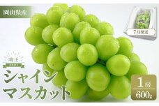 【2025年7月以降発送】岡山県産 シャインマスカット 晴王 1房 約600g 種無し 皮ごと食べる フレッシュ 先行受付 | フルーツ 果物 くだもの ぶどう ブドウ シャインマスカット 晴王  種なし 皮ごと フレッシュ 国産 岡山県産 食品 人気 おすすめ 送料無料 ギフト 贈り物 贈答品 プレゼント シャインマスカット 晴王