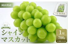 【定期便 全2回／2025年7・8月発送】岡山県産 シャインマスカット 晴王 1房 約700g 2回定期便　7月・8月に１回づつ出荷　種無し 皮ごと食べる フレッシュ 先行受付 | フルーツ 果物 くだもの ぶどう ブドウ シャインマスカット 晴王  種なし 皮ごと フレッシュ 国産 岡山県産 食品 人気 おすすめ 送料無料 定期便 ギフト 贈り物 贈答品 プレゼント ブドウ シャインマスカット 晴王