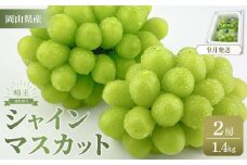 【2025年9月以降発送】岡山県産 シャインマスカット 晴王 2房 約1.4kg  種無し 皮ごと食べる 旬の美味しさ　フレッシュ 先行予約　ハレノフルーツ | フルーツ 果物 くだもの ぶどう ブドウ シャインマスカット 晴王  種なし 皮ごと フレッシュ 国産 岡山県産 食品 人気 おすすめ 送料無料 ギフト 贈り物 贈答品 プレゼント シャインマスカット 晴王