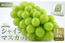 【定期便 全2回／2025年9・10月発送】 岡山県産シャインマスカット 晴王 1房 約600g  ２回定期便 　９月・１０月に１回づつお届け　種無し 皮ごと食べる 旬の美味しさ　フレッシュ 先行予約　ハレノフルーツ | フルーツ 果物 くだもの ぶどう ブドウ シャインマスカット 晴王  種なし 皮ごと フレッシュ 国産 岡山県産 食品 人気 おすすめ 送料無料 定期便 ギフト 贈り物 贈答品 プレゼント ブドウ シャインマスカット 晴王