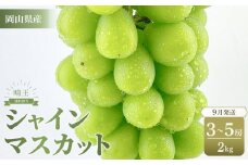【2025年9月以降発送】岡山県産 シャインマスカット 晴王 約2kg（3～5房）  種無し 皮ごと食べる 旬の美味しさ　フレッシュ 先行予約　人気商品　ハレノフルーツ | フルーツ 果物 くだもの ぶどう ブドウ シャインマスカット 晴王  種なし 皮ごと フレッシュ 国産 岡山県産 食品 人気 おすすめ 送料無料 ギフト 贈り物 贈答品 プレゼント シャインマスカット 晴王