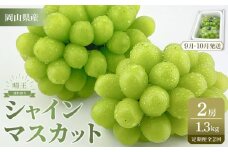 【定期便 全2回／2025年9・10月発送】 岡山県産シャインマスカット 晴王 2房 約1.3kg  2回定期便　9月10月に1回づつ発送　種無し 皮ごと食べる 旬の美味しさ　フレッシュ 先行予約　ハレノフルーツ | フルーツ 果物 くだもの ぶどう ブドウ シャインマスカット 晴王  種なし 皮ごと フレッシュ 国産 岡山県産 食品 人気 おすすめ 送料無料 定期便 ギフト 贈り物 贈答品 プレゼント ブドウ シャインマスカット 晴王