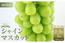 【定期便 全2回／2025年9・10月発送】 岡山県産シャインマスカット 晴王 約2kg（3～5房） 2回定期便　9月10月に1回づつ発送　種無し 皮ごと食べる 旬の美味しさ　フレッシュ 先行予約　ハレノフルーツ | フルーツ 果物 くだもの ぶどう ブドウ シャインマスカット 晴王  種なし 皮ごと フレッシュ 国産 岡山県産 食品 人気 おすすめ 送料無料 定期便 ギフト 贈り物 贈答品 プレゼント ブドウ シャインマスカット 晴王
