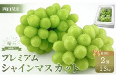 【2025年先行予約】 プレミアム シャイン マスカット 晴王 2房 約1.3kg 赤秀品 岡山県産 船穂産 種無し 皮ごと食べる 旬の美味しさ 9月以降にお届け フレッシュ 贈答用 ハレノフルーツ