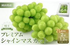 【定期便 全2回】2025年先行予約 プレミアム　シャイン　マスカット  晴王 ２房 約1.2kg  2回定期便　９月・１０月に１回づつお届け　岡山県産　船穂産　赤秀品  種無し 皮ごと食べる  フレッシュ 贈答用　ハレノフルーツ