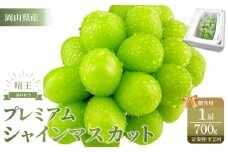 【定期便 全2回】2025年先行予約 プレミアム　シャイン　マスカット  晴王 1房 約700g  2回定期便　９月・１０月に１回づつお届け岡山県産　船穂産　赤秀品  種無し 皮ごと食べる 旬の美味しさ  フレッシュ 贈答用　ハレノフルーツ