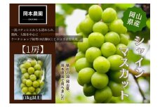 シャインマスカット　1房1.0kg | フルーツ 果物 くだもの 葡萄 ブドウ ぶどう シャインマスカット マスカット ギフト 贈答用 プレゼント 岡山 岡山県産 国産 フルーツ 果物 くだもの シャインマスカット マスカット おすすめ 人気 みずみずしい フレッシュ 温室栽培 晴れの国おかやま 果物大国 彩美菜果