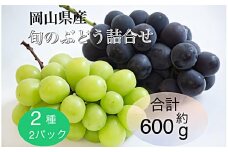 2025年 先行予約 岡山県産 旬のぶどう詰合せ 2種 2パック(ニューピオーネ1房 約300g×1P・シャインマスカット晴王1房 約300g×1P)セット | フルーツ 果物 くだもの シャインマスカット マスカット 晴王 ブドウ ぶどう 葡萄 ニューピオーネ 詰め合わせ 詰合せ 岡山 岡山県産 国産 ギフト プレゼント 贈答用 果物セット フルーツ詰合せ シャインマスカット マスカット 晴王 ニューピオーネ