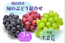 2025年 先行予約 岡山県産 旬のぶどう詰合せ 3種 4パック(ニューピオーネ1房 約300g×1P・シャインマスカット晴王1房　約300g×2P・旬のぶどうお任せ1房 約300g×1P)セット | フルーツ 果物 くだもの シャインマスカット マスカット 晴王 ブドウ ぶどう 葡萄 ニューピオーネ 詰め合わせ 詰合せ 岡山 岡山県産 国産 ギフト プレゼント 贈答用 果物セット フルーツ詰合せ シャインマスカット マスカット 晴王 ニューピオーネ